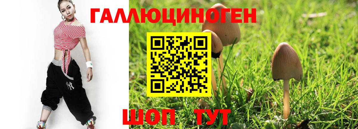 Псилоцибиновые грибы Cubensis Алушта