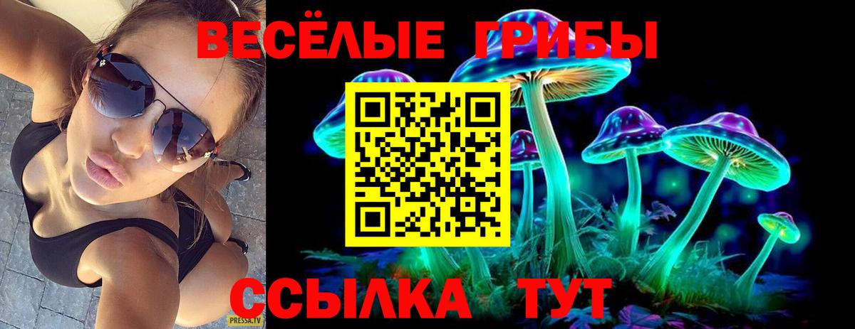 Галлюциногенные грибы MAGIC MUSHROOMS  Вход с VPN  Алушта 